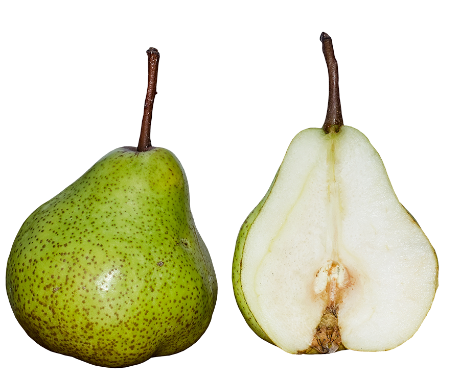 Pears, Pears png, Pears png image, Pears transparent png image, Pears png full hd images download